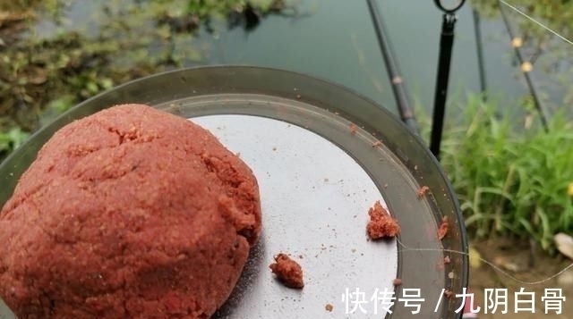 天网|红虫颗粒的另类用法,这样加工一下再打窝,鲫鱼进窝会更快!