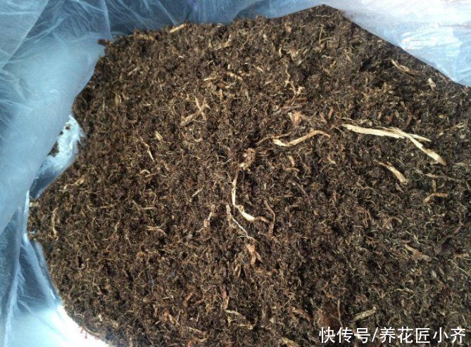 浇水|有没有种花的“万能土”？掌握好“3点”，自己调配比买的都好用