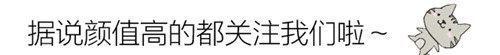 智将|海贼王尾田终于给出了赤犬和卡普的赏金，战国果然不负智将之名