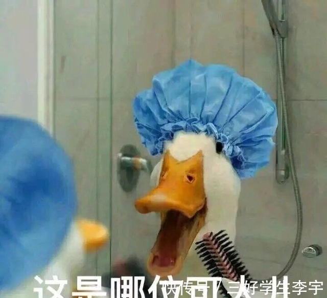 iphone|iPhone13值得买吗?iPhone13有什么颜色?亮点在哪儿?