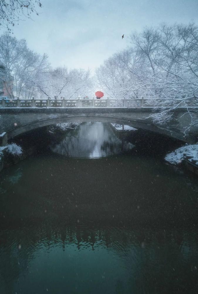 世界|雪后的中国，穿越了千年！惊艳了世界！