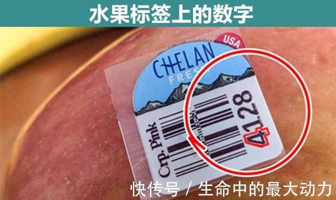 常见的9个物品背后，隐藏着许多人并不知晓的有趣用途