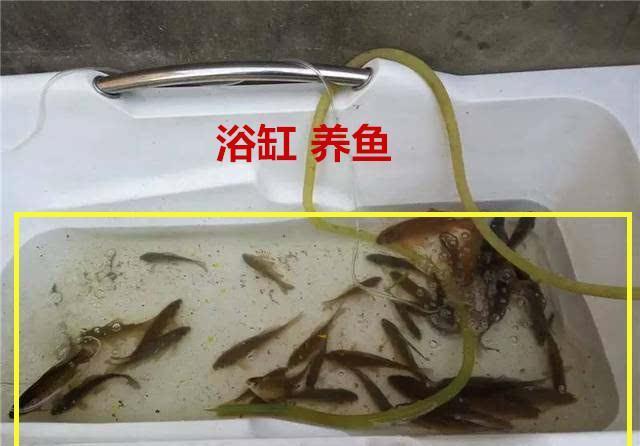 装修坑|刚乔迁新房濒临崩溃！19大装修坑纯粹是制造麻烦，大跌眼镜！气晕