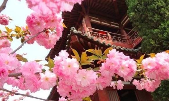 唐代#孟郊很绝妙的一首诗，不仅诗成千古名作，还诞生了2个成语