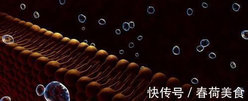 脂类|大学教授:不想血管堵塞,做好这1点,血脂'蹭蹭'下降,远离血栓