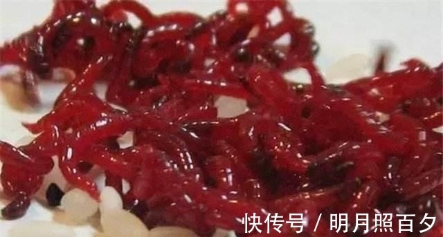 不打窝,诱鱼聚鱼都很快,这两种钓法,冬天野钓效果会更好