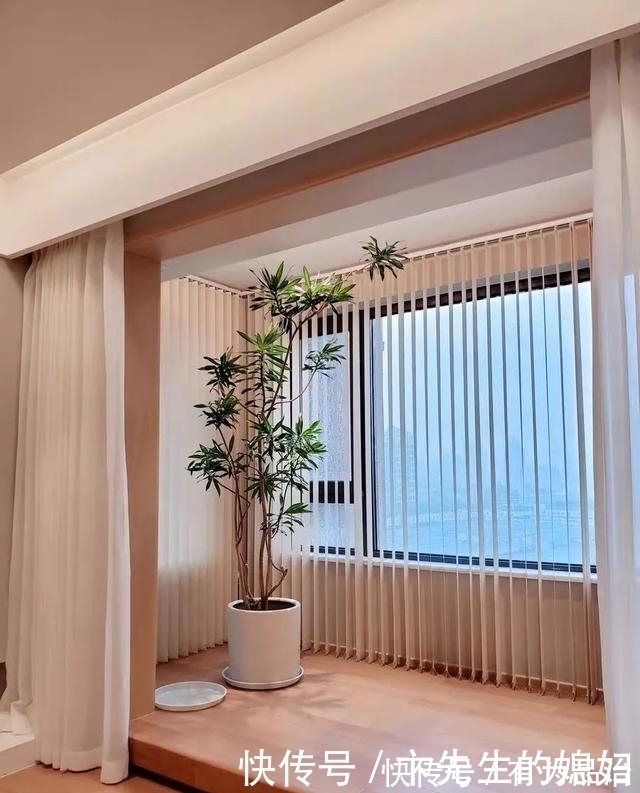 一种“吉祥竹”,清新典雅寓意好,家里养几盆,镇宅化煞保平安