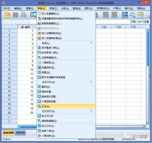 SPSS数据管理——数据的汇总