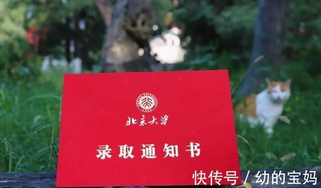 大学|高考分数500分左右的学生，可以优先选择的六所大学，就业率高