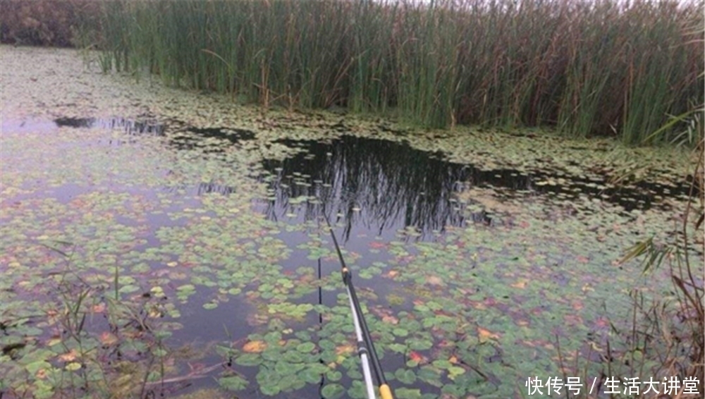 野钓选择钓位技巧:这些位置是“万能钓位”,一年四季是鱼窝!