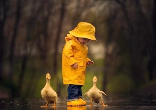 宝宝|一家四口睡姿火了,看得出来父母是真爱,两个孩子是意外