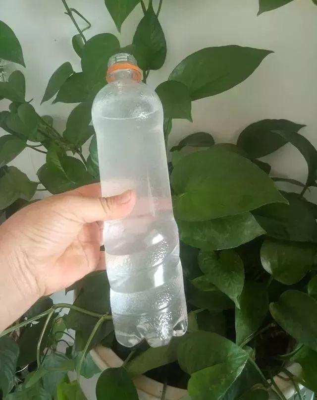 浇花水摻点它，比营养液、淘米水还肥，家里花草长得叶绿、花多