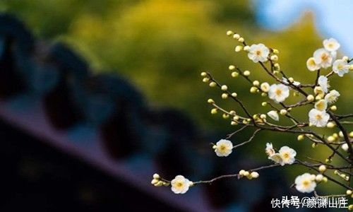 题都城南庄!美到窒息的古典诗句 千古绝唱惊艳了岁月