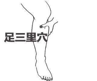 人体|中医人体穴位的基本常识,太珍贵了!终生受益!附:10大要穴功能