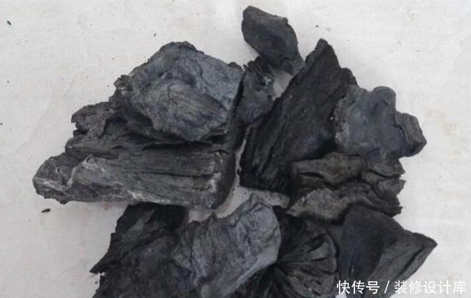 花卉|冰箱里的除臭木炭扔了太可惜,拿来种花,居然有这么多神奇的作用