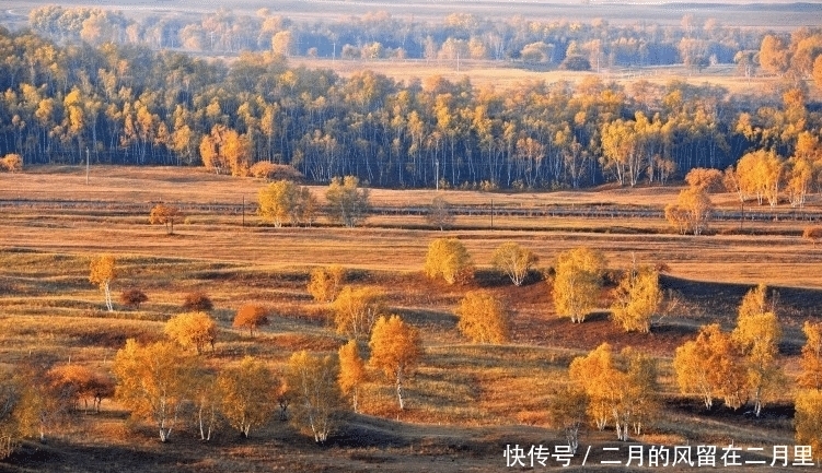 狮子座|有思想有见解，不会为人所控制的星座，快来测一测