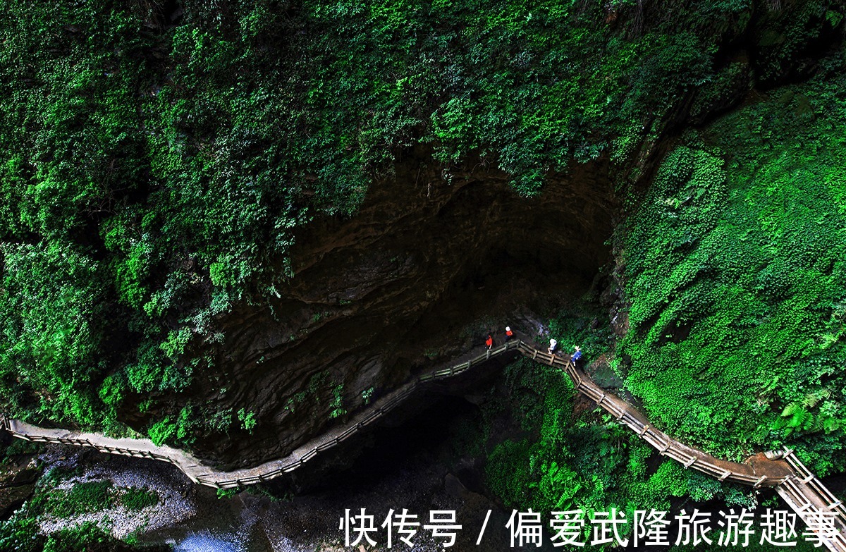 旅游|毕业游、亲子游、研学游,今年暑假旅游持续升温