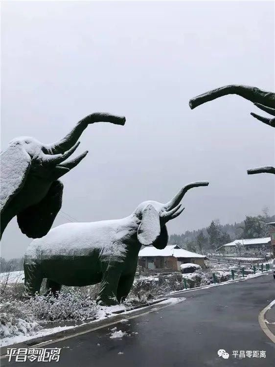 朋友圈|平昌下雪了，照片刷爆朋友圈！却带来了一个坏消息....