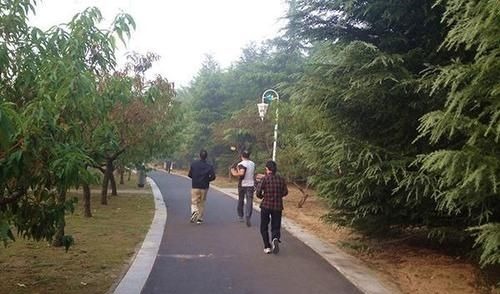 跑步|晨跑也有标准吗?每天坚持跑多少公里,是最合适的?告诉你答案