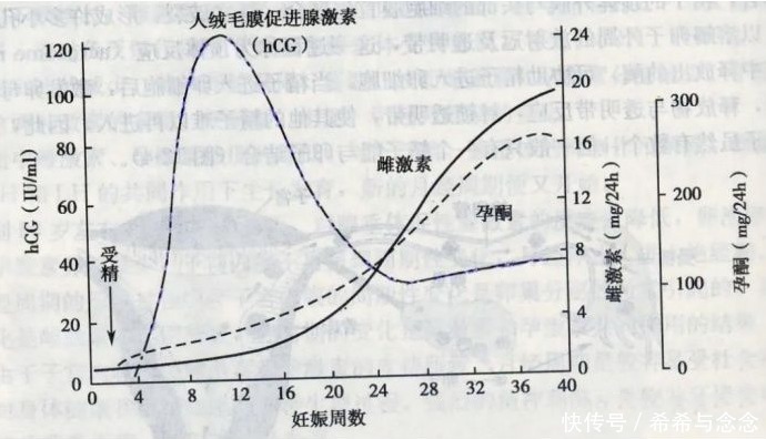 护肤|用一次就忘不掉的神仙级孕妇护肤品！90%的肤质都不踩雷护肤品牌