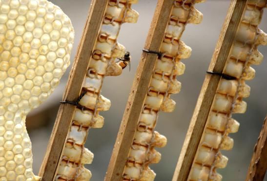 长高|儿科专家忠告:3种食物少给孩子吃,越吃身体越差,孩子难长个