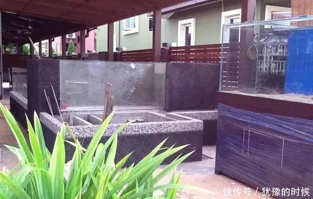 鱼缸和池还可以这样结合?只能说很有想法,有钱我也搞一个!