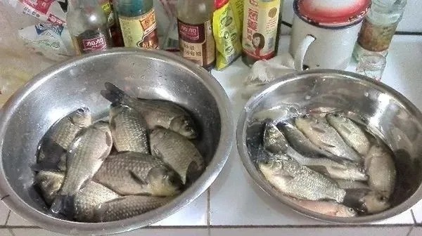 冬天|自从立冬以来,头一次这样钓鲫鱼,斩获二十斤,不到六小时!