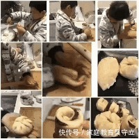 论语中的育儿观|《论语》对教育孩子有帮助吗?| 教育