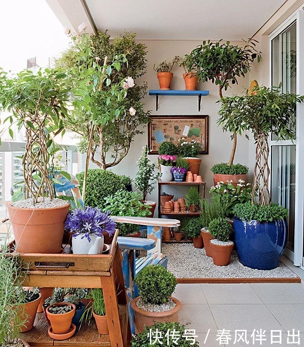 过上悠哉的小日子,不一定非要院子,有个阳台,一样可以养花种菜