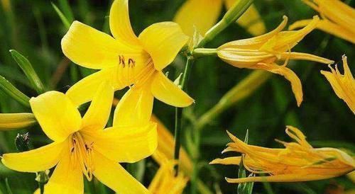 好处|女性不愿老太快,要坚持吃3种食物,营养丰富,好处多多