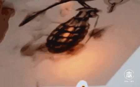 感到|理科生我们不画则已,一画就会让美术生都感到害怕