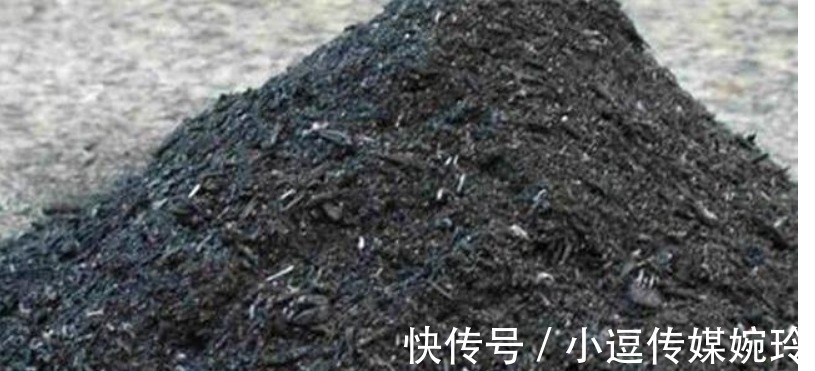 沐稷|古代人一个月不洗头发?两日油三日痒,为何古人的发质那么好?