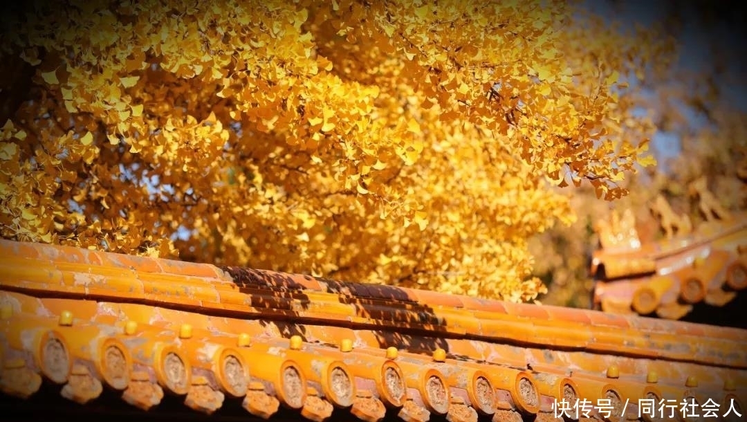  「美妆江湖」故宫四季，绝色中国