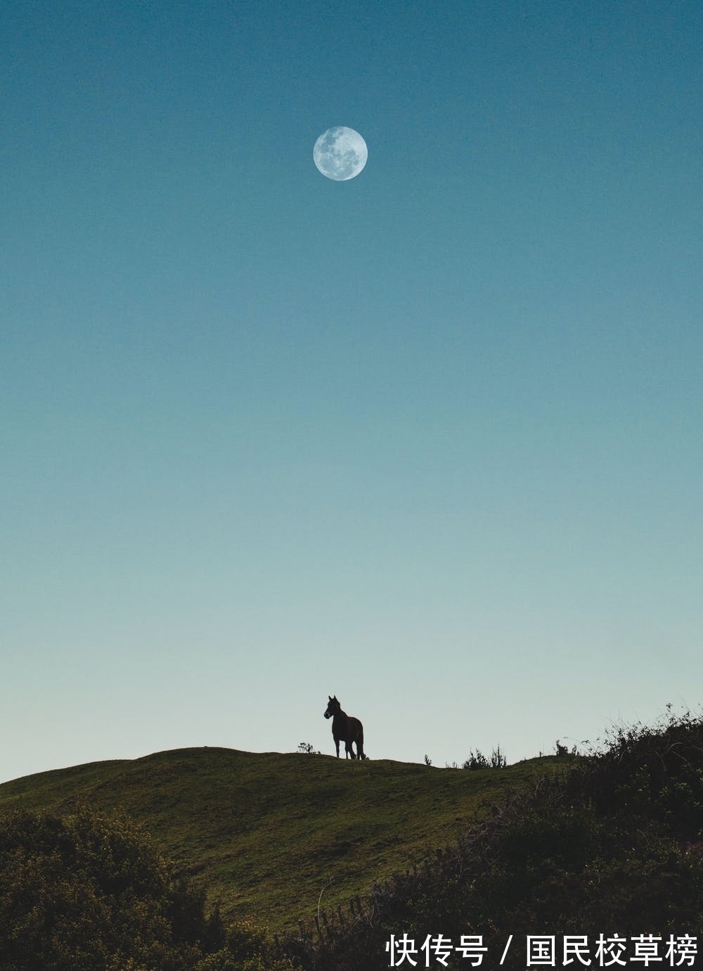 纤云$诗词丨秋月当天,纤云都净