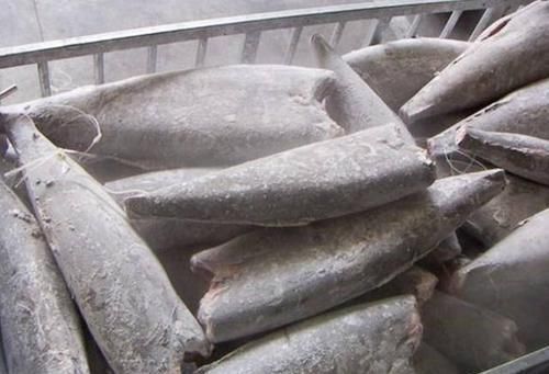 冰箱拿出来的冻鱼，万万不要用水泡，教你一招，吃起来跟鲜鱼一样