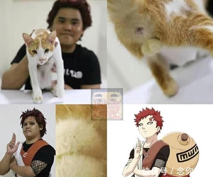 感受|火影cos:泰国小哥“神级”还原,长门:让这个世界感受痛楚