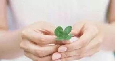 紫菜|女人患上子宫肌瘤, 别急着切! 多吃这6种食物，让肌瘤慢慢消失