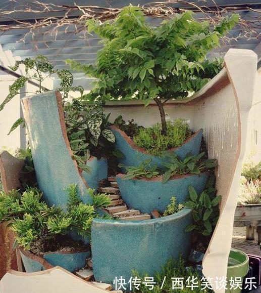 花盆片|养多肉搭配什么样的花盆好？利用''碎花盆''造景，个个与众不同