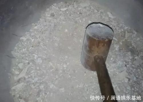 养君子兰、长寿花,盆里撒点“万能肥”,新芽猛长,呼呼开花!