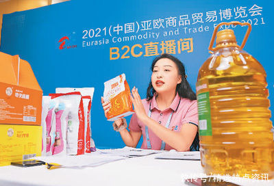 西北|西北边陲焕发开放活力