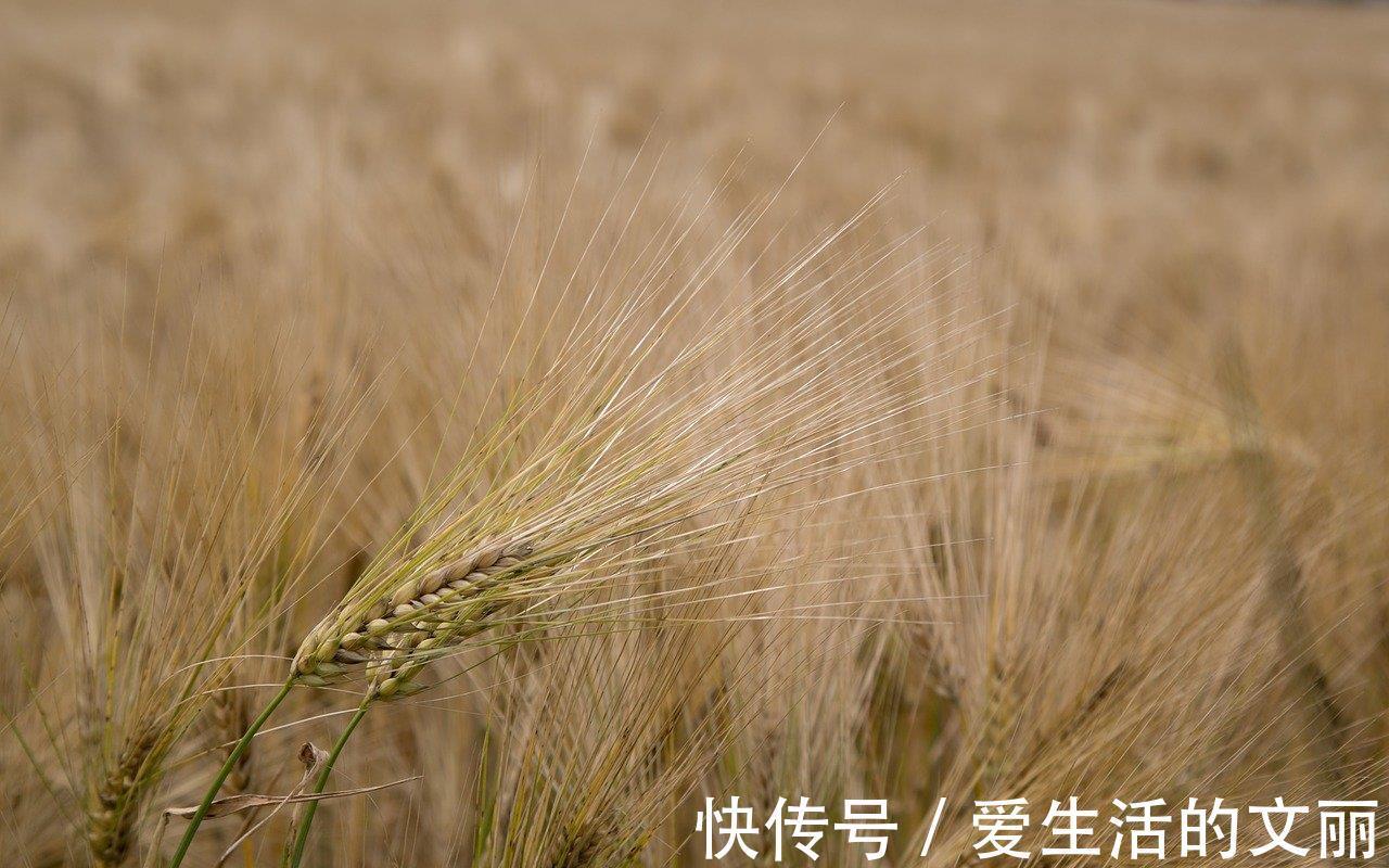 同房|27岁女子查出感染HPV,不久病变,医生直言:3件事怎能天天做