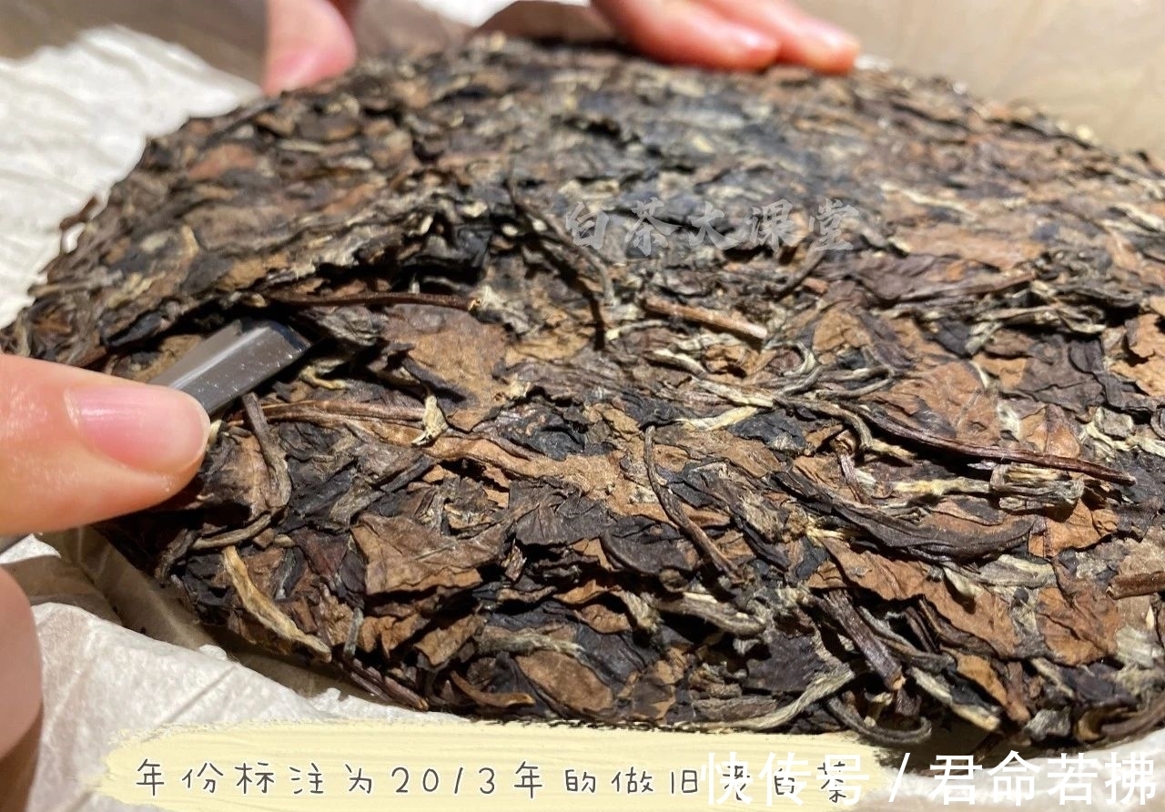 涨知识&新白茶为什么会有青味?这是好是坏,看完涨知识了