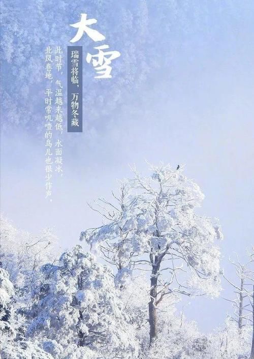  时髦|外套+雪地靴=冬季最暖穿搭CP，时髦又好看