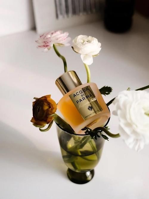 味道|说真的,有异性缘的女人,就连头发丝都透着“心机”