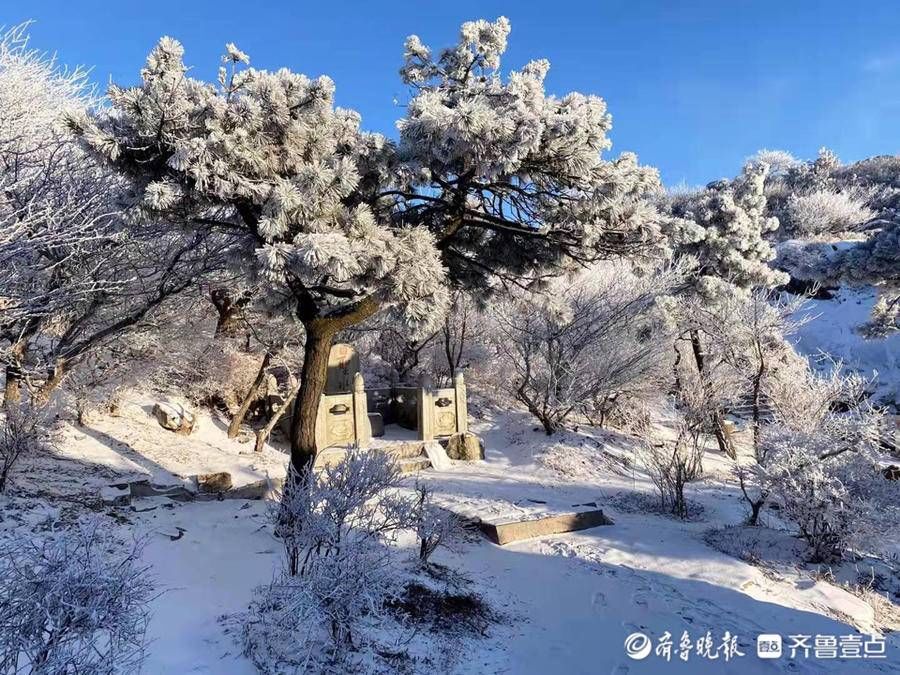 岱顶|壹图集丨腊八泰山迎瑞雪，岱顶秒变“琼楼玉宇”