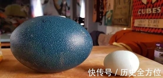 鸸鹋蛋 世界上最贵的包包,价值4000多万人民币,用它装什么东西?