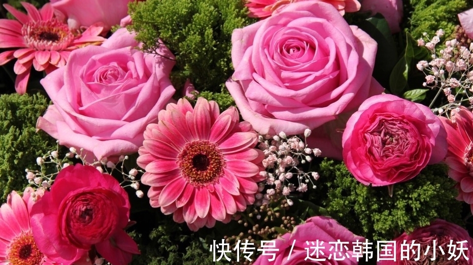 花毛茛开花后怎么养,花毛茛养殖方法总结