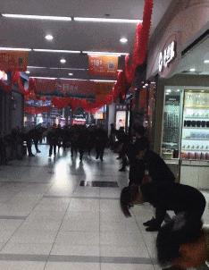 |搞笑GIF:厉害了,这样撩妹才叫帅!