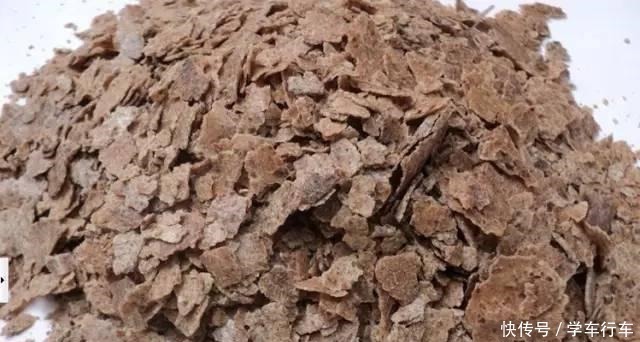 养君子兰,学会使用3种肥料,长得就像“大白菜”,天冷就开花!