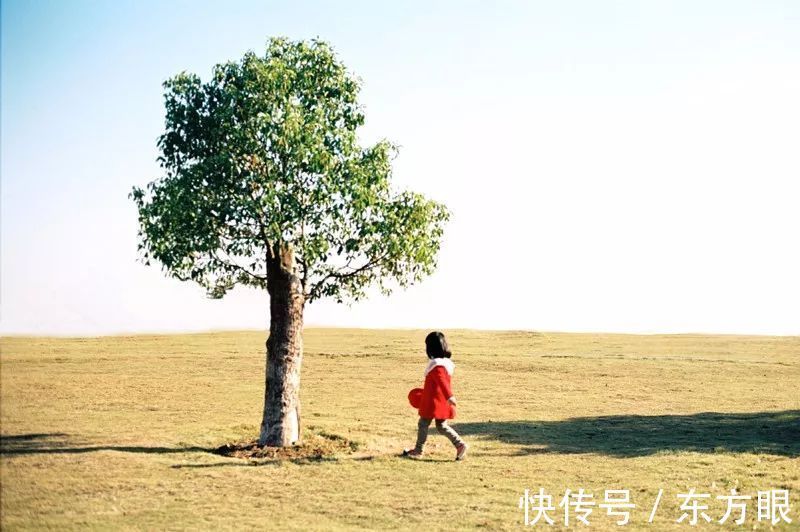 名牌大学|决定孩子一生的不是学习成绩(写得真好!)